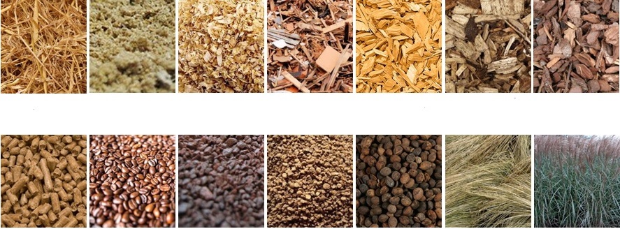 Biomass fuels: straw, shavings, bark, twigs and cuttings, wood waste, wood shavings, hay, and stone fruits etc.